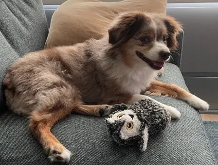 How to onboard a new PM or your own&nbsp;manager