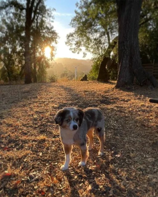 Why Choosing Between Product Models and Team Structures Might Be Your Biggest&nbsp;Decision